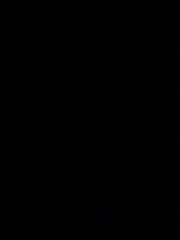 Vianney Elimbi mouellé