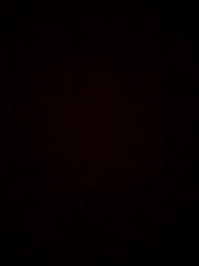 طلال الحارثي