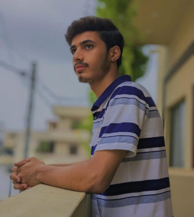 Muhammad Anas