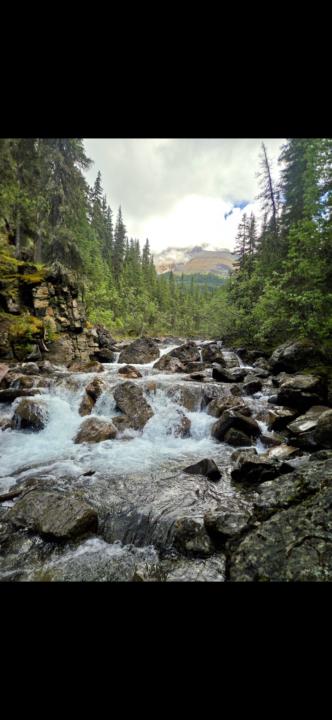 Old Miette Hotsprings