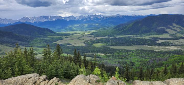 Athabasca Lookout
