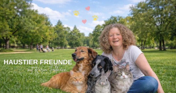 Haustier Freunde