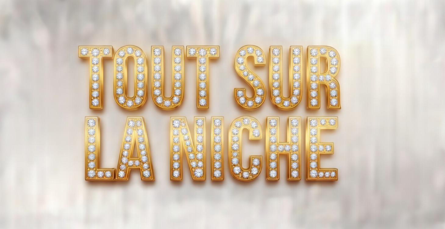Choisir sa niche comme un creator