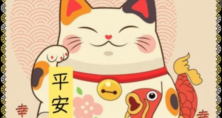 Madame Moon Gypsy Cat 🌙✨️🧧