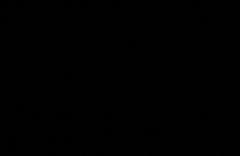 Jailenny Caldera Ruiz