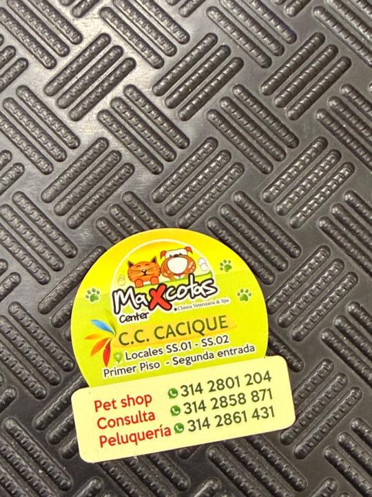 Andrea Paéz Rincón