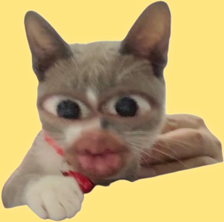 Aphivich Chotikhajhornkittichai