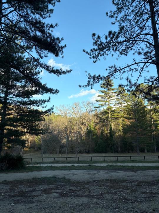 Marion L Photographie