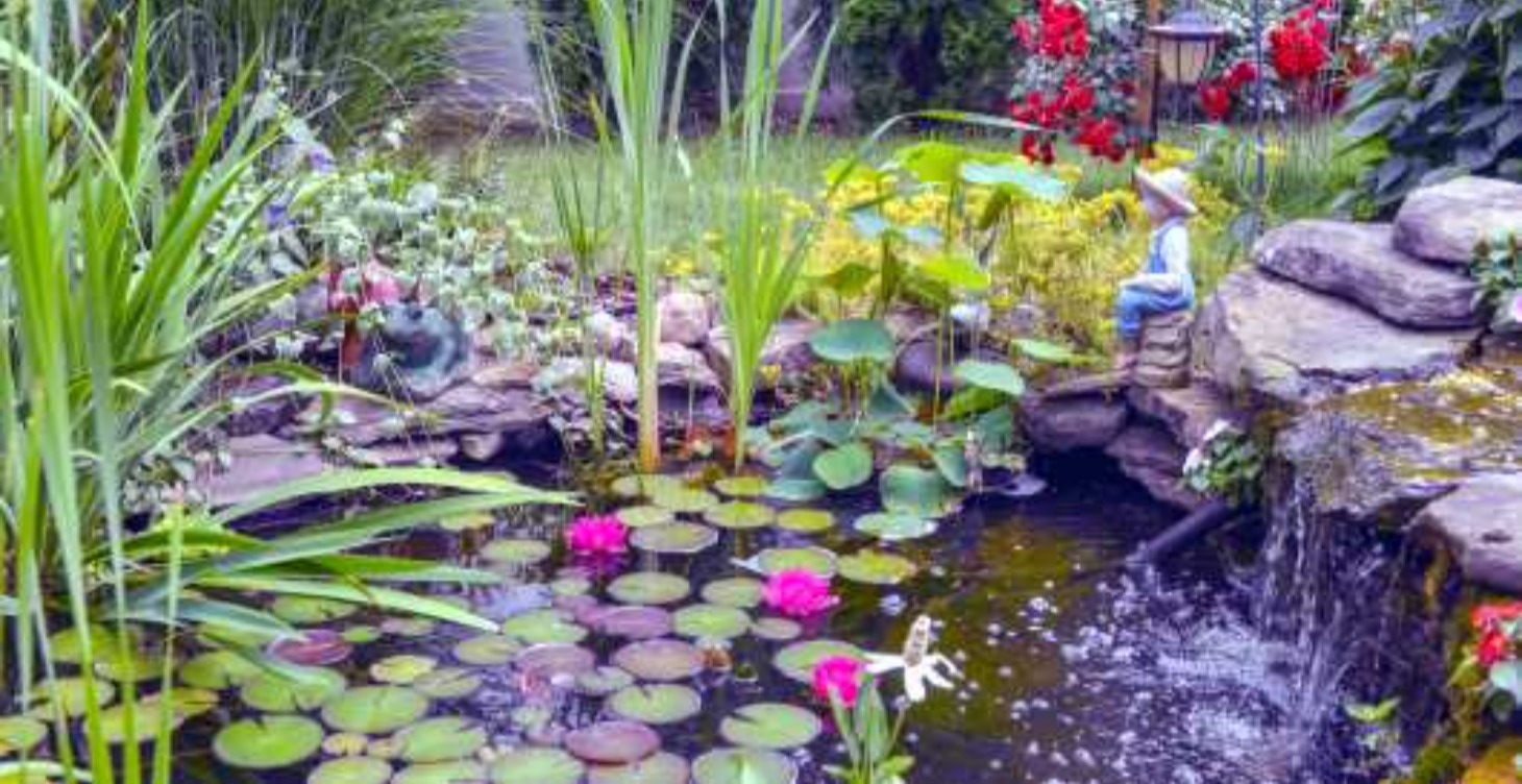 Water gardening