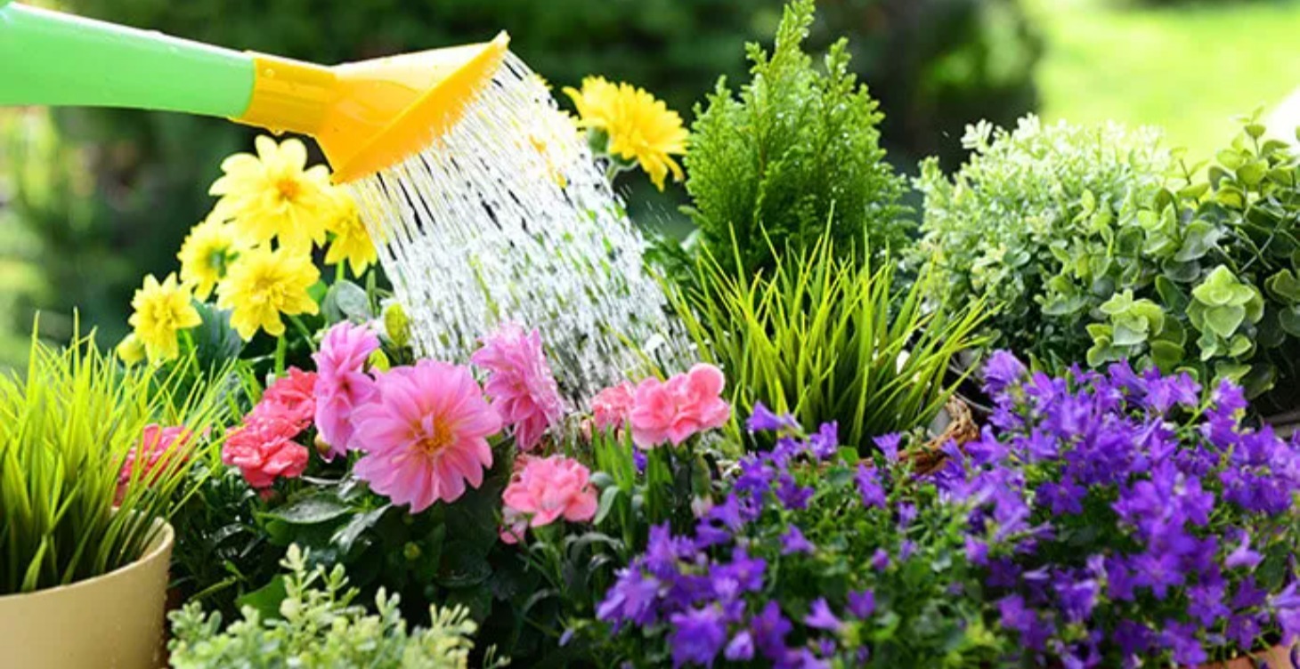 Flower Gardening 101