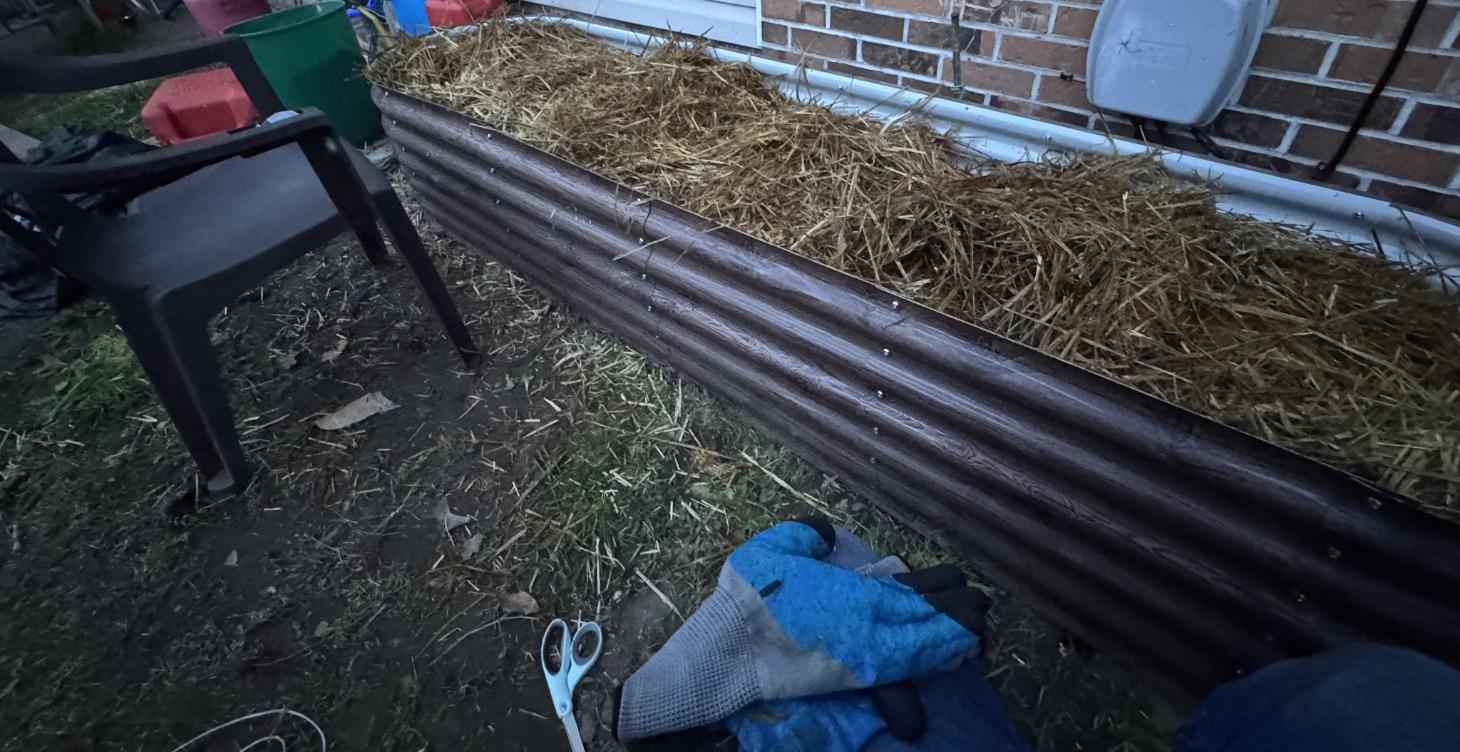 Raised beds