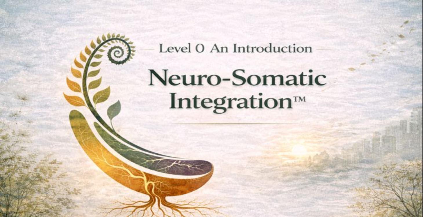 Introduction Neuro- Somatic Integration Framework