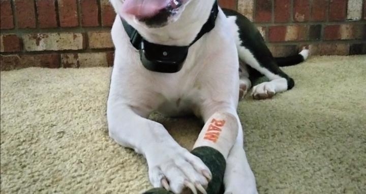 Woodcreek Home maintenance .