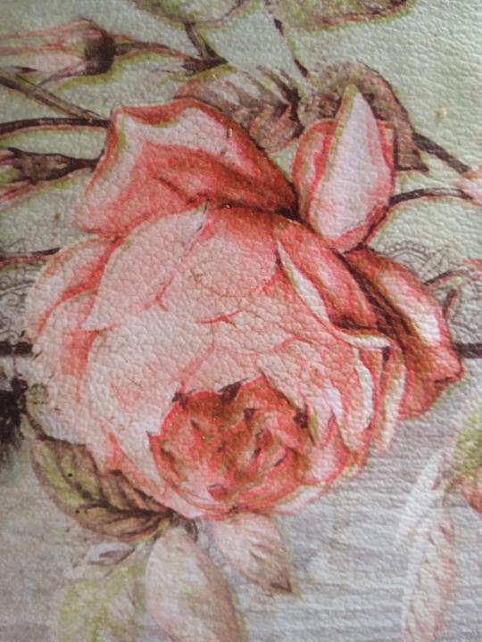 Cecilia Mariana Fiel