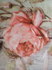 Cecilia Mariana Fiel