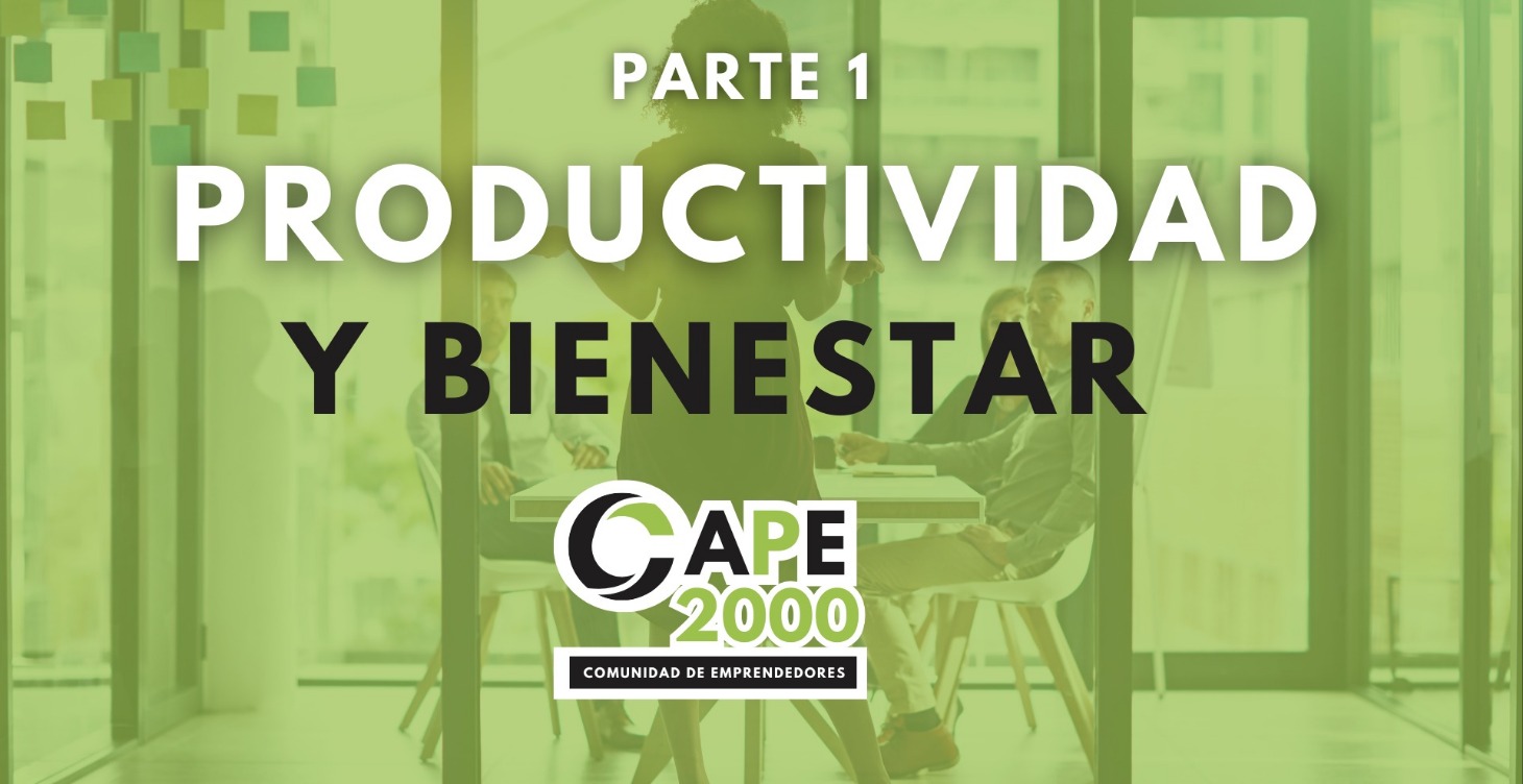 Productividad y Bienestar (parte 1)