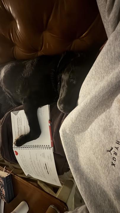 Happy Friday Thrivers!