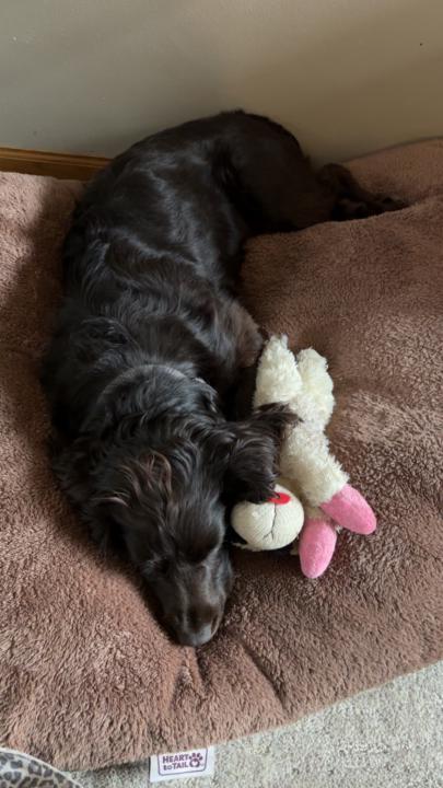 75 Hard - Days 10-13