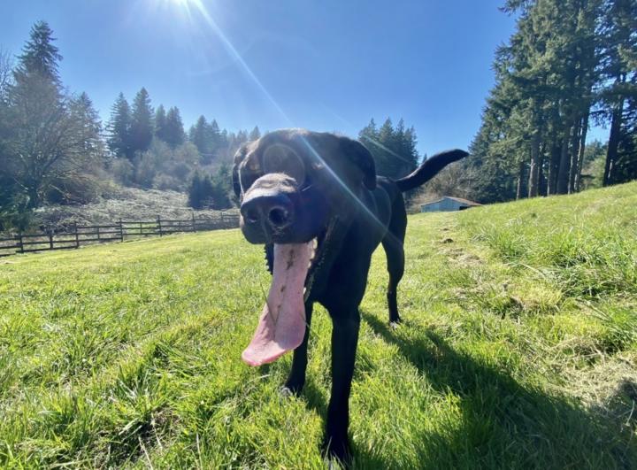 FriYAY fun! 🤩 