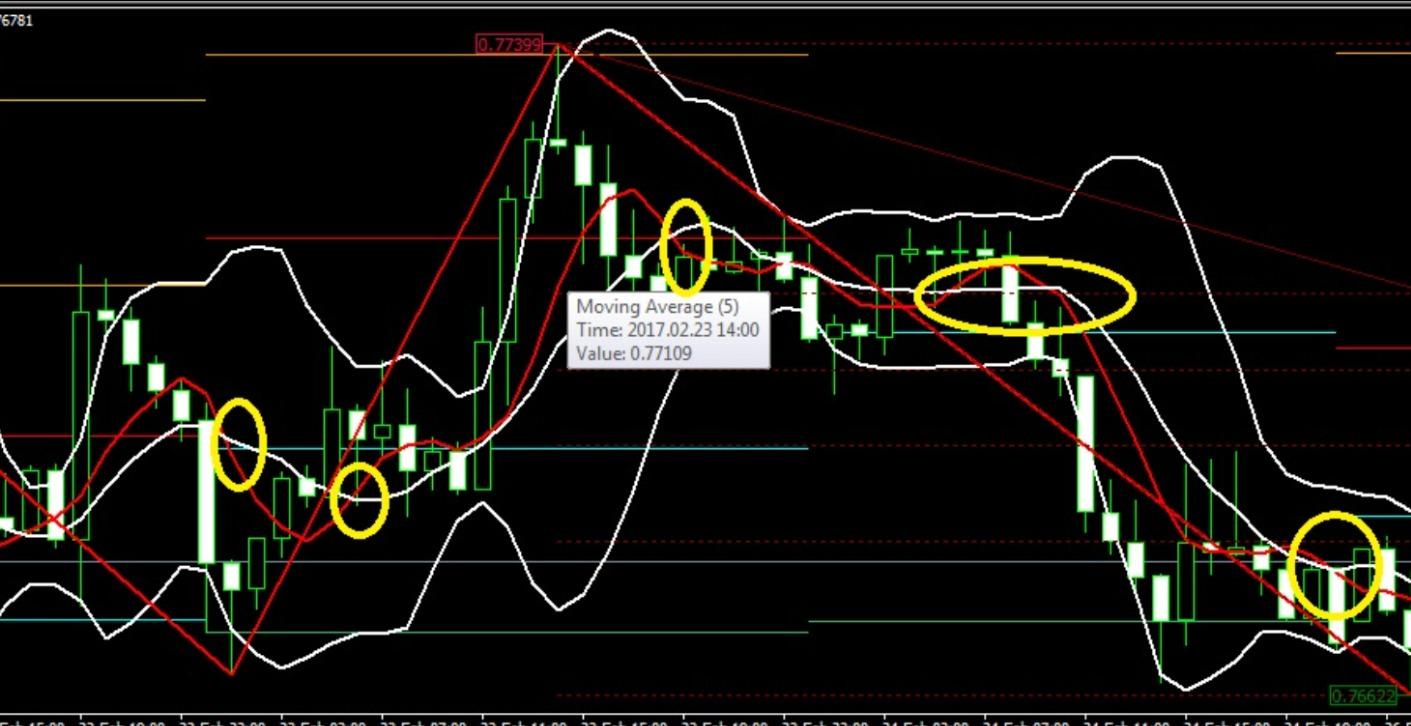 Best Forex