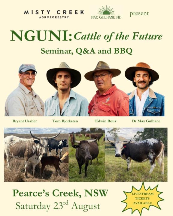 Nguni Cattle & Regenerative Farming Day Aug 23, Pearces Creek NSW