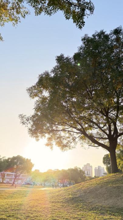 最近分享脈輪覺察影片