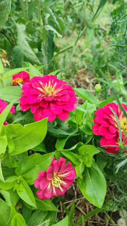 Mónica Martín Gavira