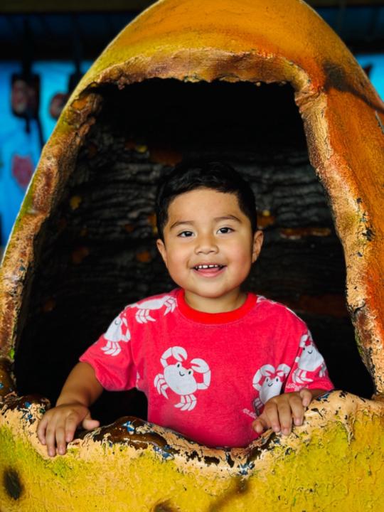 Freddy Ivvan Acevedo Gallegos