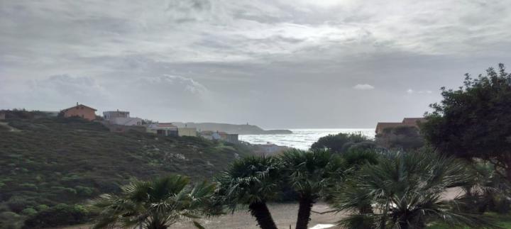 Sebastiano Bazzigaluppi