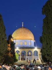 Mohammed ubaid Hussain