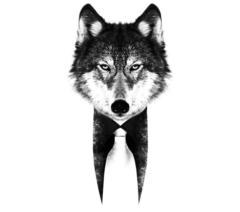 Crypto Naid