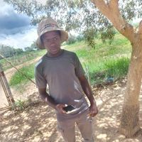 Tanatswa Mushawarima