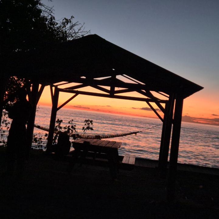 Цогоо Даваа