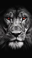 Prosper j Mumba