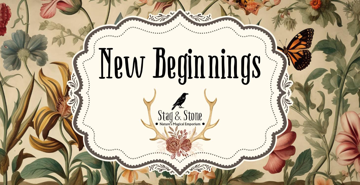 Where to Begin: New Beginnings