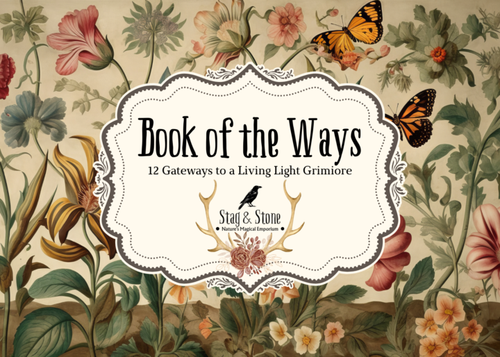 New Course is up! 3/11/26