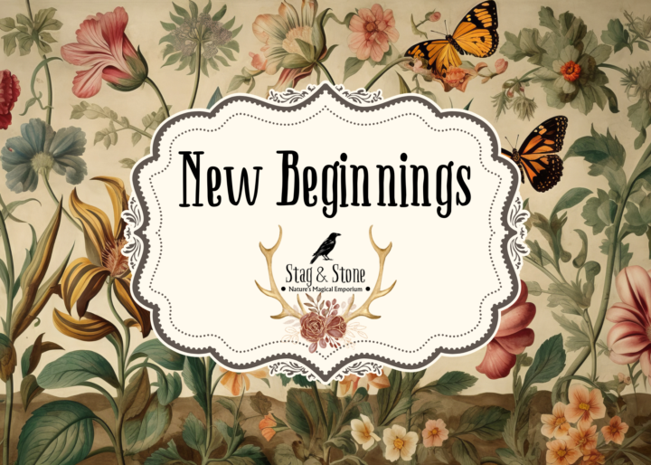 New Course is up! 3/11/26