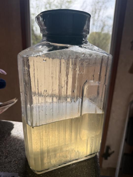Living Light Lemon Vitality Elixir
