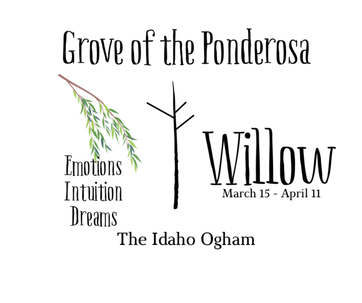 3/22/26 Idaho Ogham