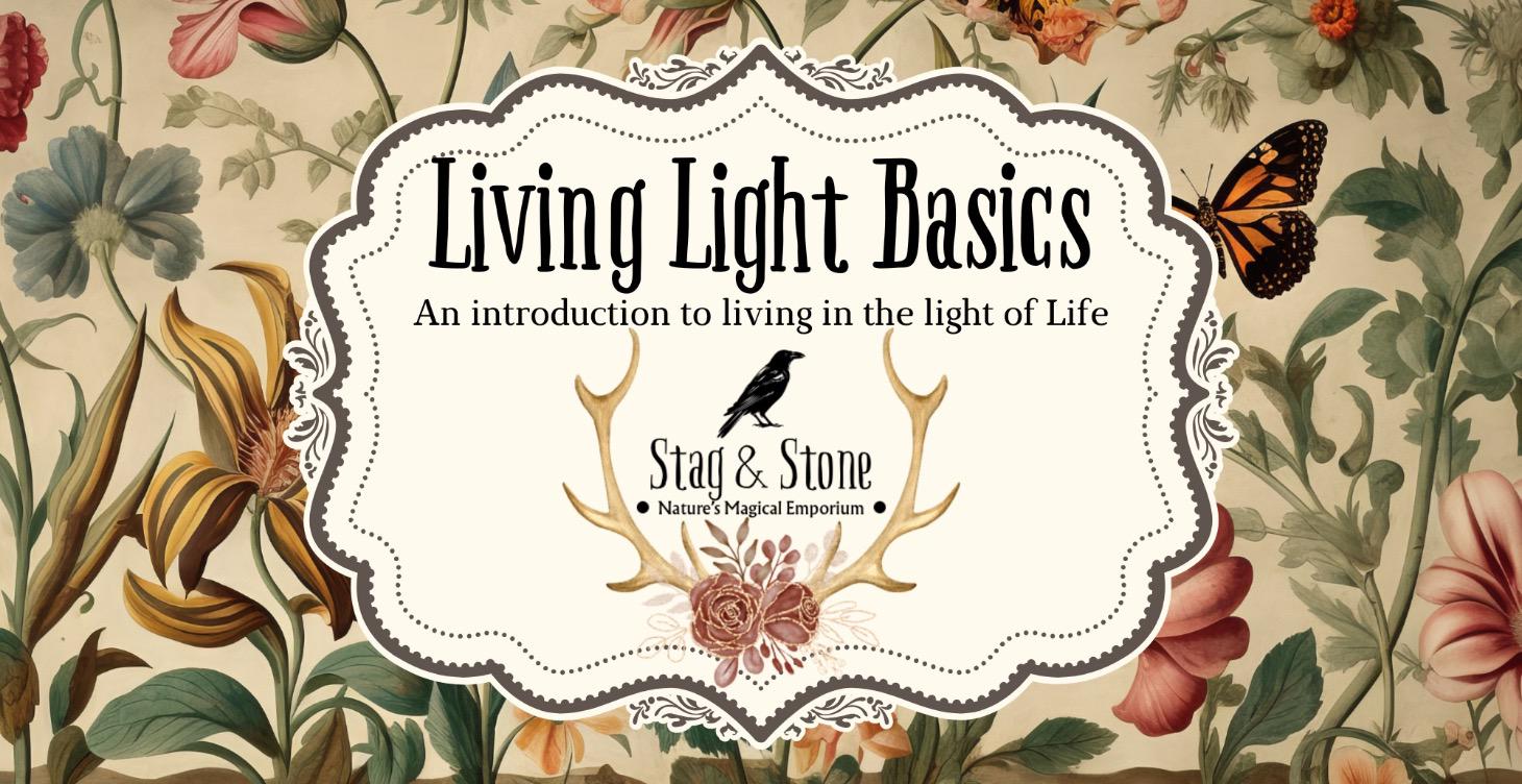Living Light Basics