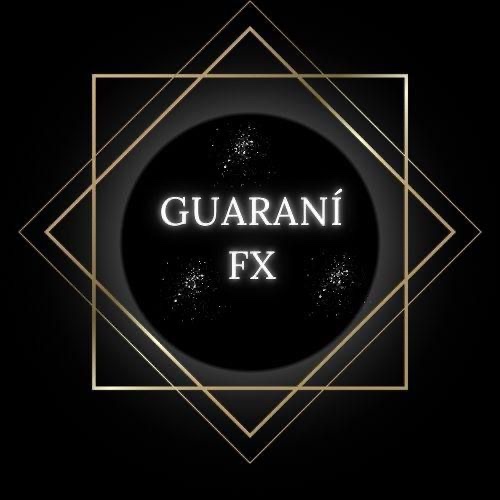 Guarani Academy fx