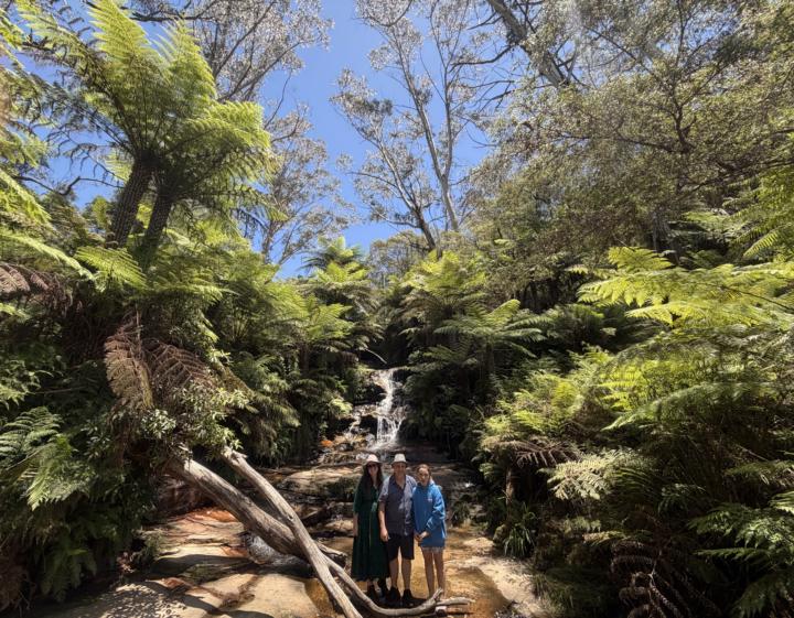 🎁 Boxing Day Fun — pick one!