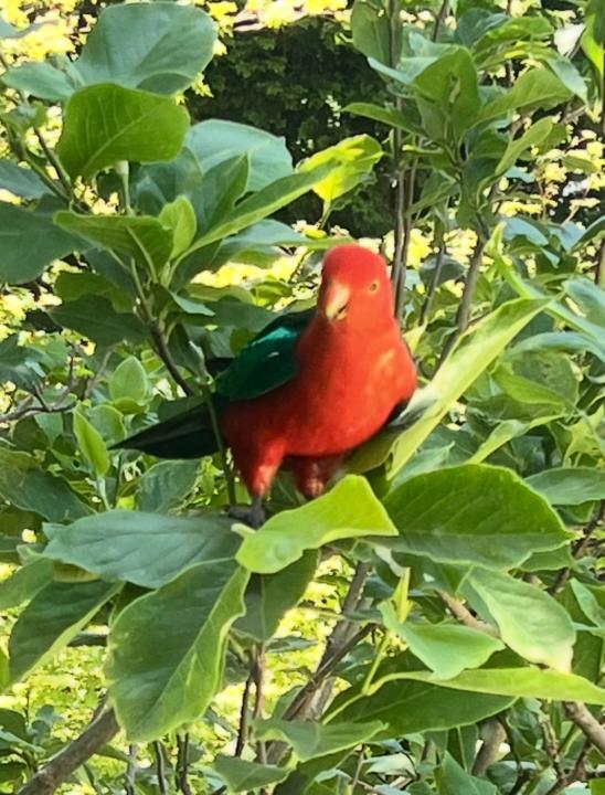 🌼 What’s been coming up for you this week?