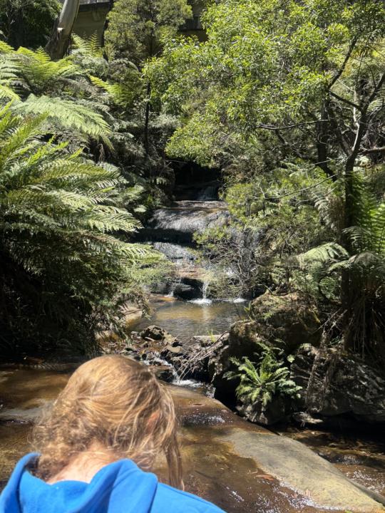 🌿 New Year Reset — Free Community Gathering