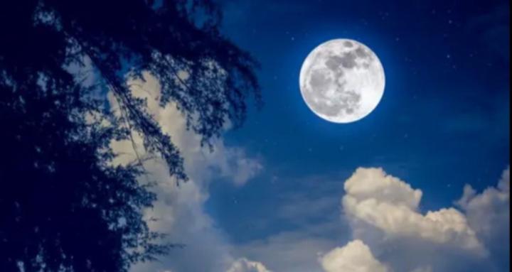 Moon Magic 🌙✨️