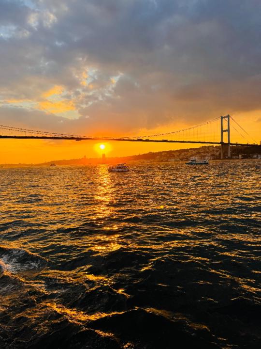 Merve Narin