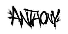 The Anthony