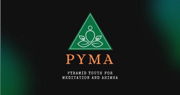 PYMA GLOBAL