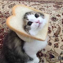 Ebola Breadly