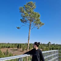 Х. Халиунаа